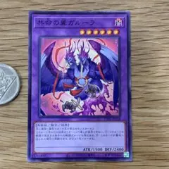 遊戯王　共命の翼ガルーラ　ノーマル　1枚
