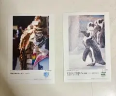 鬼滅の刃 2個セット