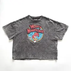 【匿名配送】バースデイ ウッディーウッドペッカー プリント半袖Tシャツ 120