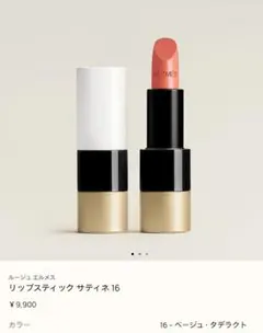 エルメス リップスティック 〈ルージュ エルメス〉 サティネ 21 新品未