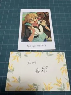 あんスタ!! ぱしゃっつ Private Ra*bits 真白友也