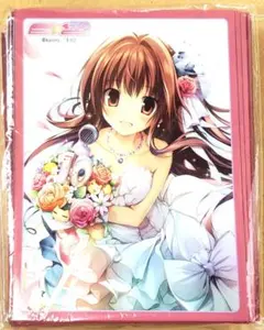 E2 Karory スリーブ