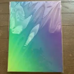 嵐　ツアーパンフレット