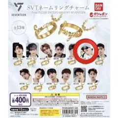 SVT ネームリングチャーム ウォヌ