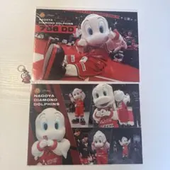 名古屋ダイヤモンドドルフィンズ　ディーディーセット