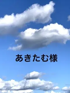 あきたむ様 リクエスト 3点 まとめ商品