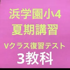 2026年最新】浜学園 復習テスト 小4の人気アイテム - メルカリ