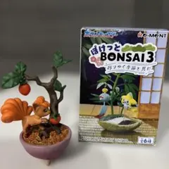 ぽけっとBONSAI3 ぽけっと盆栽 ポケモン ポケコレ