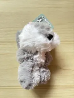 mojojojo TeddyJOJO ふわふわマスコットぬいぐるみ オオカミ ③ - メルカリ