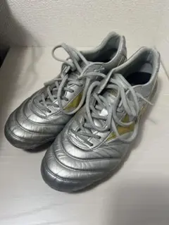 MIZUNO MORELIA DNA JAPAN 27.0cm
