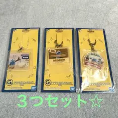 新品未開封 SUNSUN アクリルコレクション 3種セット