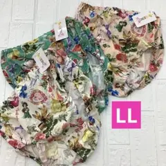鴨居羊子　TUNIC さらさら綿100% 夏の　オヤスミパンツ　3枚組　LLのサムネイル
