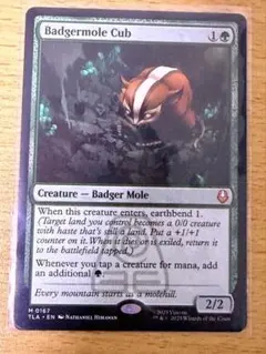 2026年最新】magic the gathering Badgermole Cubの人気アイテム
