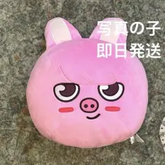 SKZOO GiGO 限定 ドーム型 BIG ぬいぐるみ トゥエッキ スキズ - メルカリ