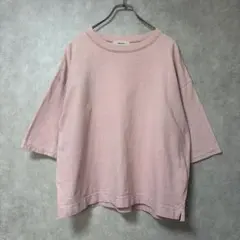 PARICI ボタニカルダイBIGＴシャツ ピンク フリーサイズのサムネイル