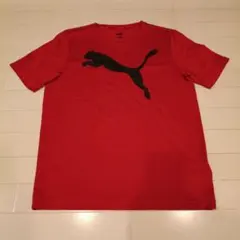 PUMA レッド ポリエステルTシャツ M
