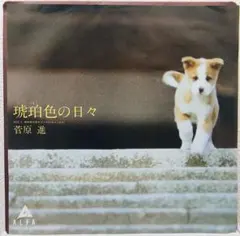 希少盤・EP（7インチ）◆琥珀色の日々◆菅原進