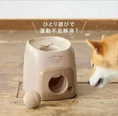 Item thumbnail for item c19036a4-e344-4a75-968a-4e78cee4ba3a