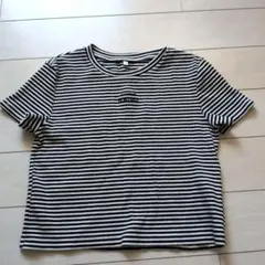 Item thumbnail for item c1a2764d-0c48-45c9-8802-1c4b147356a9