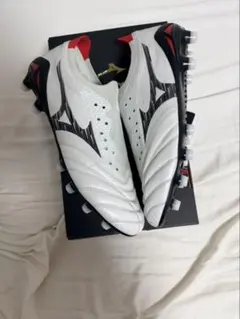 2025年最新】モレリアネオ4 25.5の人気アイテム - メルカリ