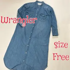 SHIPS別注　Wrangler ノーカラーデニムシャツワンピース　FREE