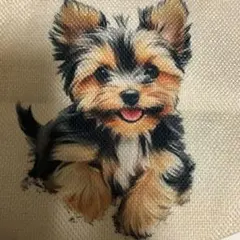 Item thumbnail for item 3fdbbf56-ffc1-4f99-805d-fcb50696a233