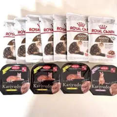 Item thumbnail for item dcc31889-6427-4a89-a9b8-38c754690a55