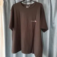 Item thumbnail for item 24f24620-a65d-49d5-828a-2fe8474bd7d3