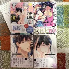 BL4冊まとめ売り 699円