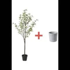 【廃盤】IKEA FEJKA フェイカ 人工観葉植物 リンゴの木 + 鉢カバーのサムネイル