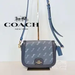 【未使用級】コーチ ショルダーバッグ C4059 ホース アンド キャリッジ