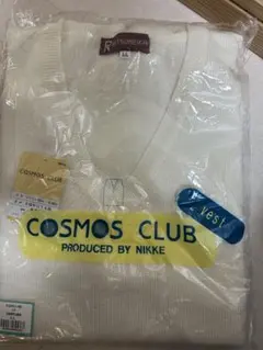 新品未使用　立命館宇治高校　ベスト　 L Lサイズ　男女兼用