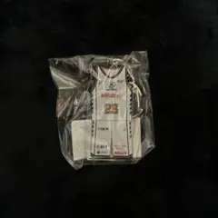 B.LEAGUE 川崎ブレイブサンダース キーホルダー