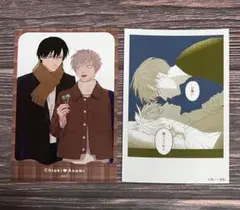 灼「イルカの耳骨」インスタントカメラ風カード / 手のひらブロマイド