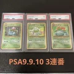 2025年最新】フシギダネ プロモ psa10の人気アイテム - メルカリ