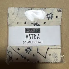 Astra Mini Charms 42枚セット