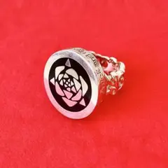 少女革命ウテナ 薔薇の刻印 指輪 シルバーチェーン ケース 箱 付き