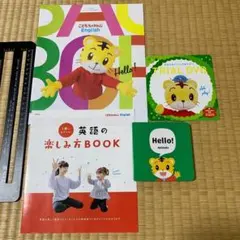 こどもちゃれんじEnglish 体験見本　DVD 絵本　Benesse ベネッセ