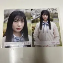 稲熊ひな