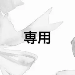 専用