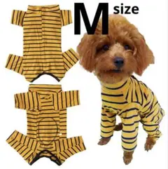 Item thumbnail for item ec23f5df-cc42-49a8-b396-51400fbcaa8b