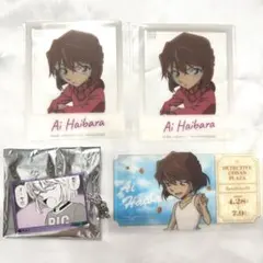 名探偵コナン 灰原哀 アクキー クリアカード コナンプラザ 特典 原画展