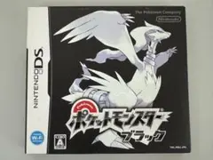 動作確認済 ポケットモンスター ブラック 外箱付き