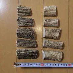 鹿の角 エゾ鹿の角 鹿ツノ 円柱状 DIY 端材 詰め合わせ 0903 - メルカリ