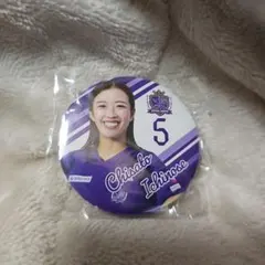 Item thumbnail for item d8af4fd4-8bca-42e0-9a81-fd09d71e3dfc