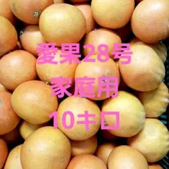 2026年最新】愛果28号 10kgの人気アイテム - メルカリ