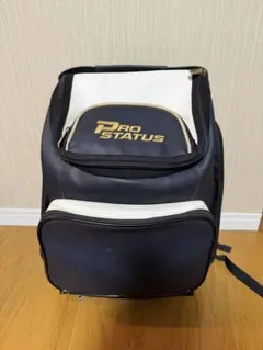 Item thumbnail for item 6d44c62f-ba54-4802-8c2f-a6050f873428