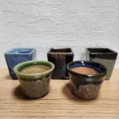 豆鉢 盆栽鉢 植木鉢 5個セット ①