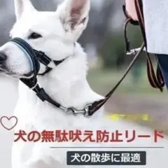 犬用 無駄吠え防止リード 口輪 マズルMサイズのサムネイル