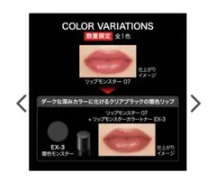 ケイト　リップモンスター　カラートナー　EX-3